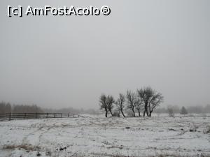 [P22]  -- <small>// FĂRĂ DESCRIERE</small> » foto by Testosu'
 - 
<span class="allrVoted glyphicon glyphicon-heart hidden" id="av934511"></span>
<a class="m-l-10 hidden" id="sv934511" onclick="voting_Foto_DelVot(,934511,22695)" role="button">șterge vot <span class="glyphicon glyphicon-remove"></span></a>
<a id="v9934511" class=" c-red"  onclick="voting_Foto_SetVot(934511)" role="button"><span class="glyphicon glyphicon-heart-empty"></span> <b>LIKE</b> = Votează poza</a> <img class="hidden"  id="f934511W9" src="/imagini/loader.gif" border="0" /><span class="AjErrMes hidden" id="e934511ErM"></span>