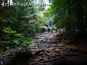 [P13] Cascada Vărșag » foto by crismis
 - 
<span class="allrVoted glyphicon glyphicon-heart hidden" id="av1198628"></span>
<a class="m-l-10 hidden" id="sv1198628" onclick="voting_Foto_DelVot(,1198628,22695)" role="button">șterge vot <span class="glyphicon glyphicon-remove"></span></a>
<a id="v91198628" class=" c-red"  onclick="voting_Foto_SetVot(1198628)" role="button"><span class="glyphicon glyphicon-heart-empty"></span> <b>LIKE</b> = Votează poza</a> <img class="hidden"  id="f1198628W9" src="/imagini/loader.gif" border="0" /><span class="AjErrMes hidden" id="e1198628ErM"></span>
