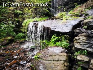 [P15] Cascada Vărșag » foto by crismis
 - 
<span class="allrVoted glyphicon glyphicon-heart hidden" id="av1198630"></span>
<a class="m-l-10 hidden" id="sv1198630" onclick="voting_Foto_DelVot(,1198630,22695)" role="button">șterge vot <span class="glyphicon glyphicon-remove"></span></a>
<a id="v91198630" class=" c-red"  onclick="voting_Foto_SetVot(1198630)" role="button"><span class="glyphicon glyphicon-heart-empty"></span> <b>LIKE</b> = Votează poza</a> <img class="hidden"  id="f1198630W9" src="/imagini/loader.gif" border="0" /><span class="AjErrMes hidden" id="e1198630ErM"></span>
