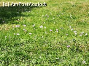[P17] Către turnul de belvedere » foto by crismis
 - 
<span class="allrVoted glyphicon glyphicon-heart hidden" id="av1198632"></span>
<a class="m-l-10 hidden" id="sv1198632" onclick="voting_Foto_DelVot(,1198632,22695)" role="button">șterge vot <span class="glyphicon glyphicon-remove"></span></a>
<a id="v91198632" class=" c-red"  onclick="voting_Foto_SetVot(1198632)" role="button"><span class="glyphicon glyphicon-heart-empty"></span> <b>LIKE</b> = Votează poza</a> <img class="hidden"  id="f1198632W9" src="/imagini/loader.gif" border="0" /><span class="AjErrMes hidden" id="e1198632ErM"></span>