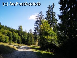[P26] Întorcându-ne de la Vărșag » foto by crismis
 - 
<span class="allrVoted glyphicon glyphicon-heart hidden" id="av1198641"></span>
<a class="m-l-10 hidden" id="sv1198641" onclick="voting_Foto_DelVot(,1198641,22695)" role="button">șterge vot <span class="glyphicon glyphicon-remove"></span></a>
<a id="v91198641" class=" c-red"  onclick="voting_Foto_SetVot(1198641)" role="button"><span class="glyphicon glyphicon-heart-empty"></span> <b>LIKE</b> = Votează poza</a> <img class="hidden"  id="f1198641W9" src="/imagini/loader.gif" border="0" /><span class="AjErrMes hidden" id="e1198641ErM"></span>