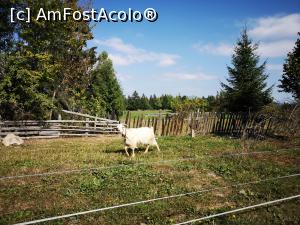 [P03] În comuna Izvoare, jud. Harghita » foto by crismis
 - 
<span class="allrVoted glyphicon glyphicon-heart hidden" id="av1198618"></span>
<a class="m-l-10 hidden" id="sv1198618" onclick="voting_Foto_DelVot(,1198618,22695)" role="button">șterge vot <span class="glyphicon glyphicon-remove"></span></a>
<a id="v91198618" class=" c-red"  onclick="voting_Foto_SetVot(1198618)" role="button"><span class="glyphicon glyphicon-heart-empty"></span> <b>LIKE</b> = Votează poza</a> <img class="hidden"  id="f1198618W9" src="/imagini/loader.gif" border="0" /><span class="AjErrMes hidden" id="e1198618ErM"></span>