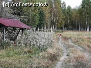 [P31] Parcul de Animale Sălbatice; muflonii » foto by crismis
 - 
<span class="allrVoted glyphicon glyphicon-heart hidden" id="av1198646"></span>
<a class="m-l-10 hidden" id="sv1198646" onclick="voting_Foto_DelVot(,1198646,22695)" role="button">șterge vot <span class="glyphicon glyphicon-remove"></span></a>
<a id="v91198646" class=" c-red"  onclick="voting_Foto_SetVot(1198646)" role="button"><span class="glyphicon glyphicon-heart-empty"></span> <b>LIKE</b> = Votează poza</a> <img class="hidden"  id="f1198646W9" src="/imagini/loader.gif" border="0" /><span class="AjErrMes hidden" id="e1198646ErM"></span>