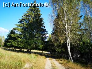 [P41] Parcul de Animale Sălbatice » foto by crismis
 - 
<span class="allrVoted glyphicon glyphicon-heart hidden" id="av1198656"></span>
<a class="m-l-10 hidden" id="sv1198656" onclick="voting_Foto_DelVot(,1198656,22695)" role="button">șterge vot <span class="glyphicon glyphicon-remove"></span></a>
<a id="v91198656" class=" c-red"  onclick="voting_Foto_SetVot(1198656)" role="button"><span class="glyphicon glyphicon-heart-empty"></span> <b>LIKE</b> = Votează poza</a> <img class="hidden"  id="f1198656W9" src="/imagini/loader.gif" border="0" /><span class="AjErrMes hidden" id="e1198656ErM"></span>