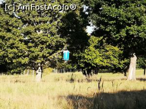 [P44] Parcul de Animale Sălbatice; improvizații pentru hrănirea animalelor » foto by crismis
 - 
<span class="allrVoted glyphicon glyphicon-heart hidden" id="av1198659"></span>
<a class="m-l-10 hidden" id="sv1198659" onclick="voting_Foto_DelVot(,1198659,22695)" role="button">șterge vot <span class="glyphicon glyphicon-remove"></span></a>
<a id="v91198659" class=" c-red"  onclick="voting_Foto_SetVot(1198659)" role="button"><span class="glyphicon glyphicon-heart-empty"></span> <b>LIKE</b> = Votează poza</a> <img class="hidden"  id="f1198659W9" src="/imagini/loader.gif" border="0" /><span class="AjErrMes hidden" id="e1198659ErM"></span>