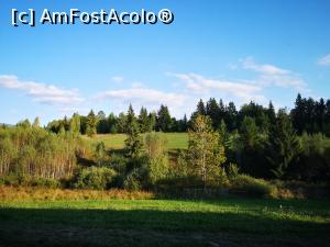 [P45] Parcul de Animale Sălbatice » foto by crismis
 - 
<span class="allrVoted glyphicon glyphicon-heart hidden" id="av1198660"></span>
<a class="m-l-10 hidden" id="sv1198660" onclick="voting_Foto_DelVot(,1198660,22695)" role="button">șterge vot <span class="glyphicon glyphicon-remove"></span></a>
<a id="v91198660" class=" c-red"  onclick="voting_Foto_SetVot(1198660)" role="button"><span class="glyphicon glyphicon-heart-empty"></span> <b>LIKE</b> = Votează poza</a> <img class="hidden"  id="f1198660W9" src="/imagini/loader.gif" border="0" /><span class="AjErrMes hidden" id="e1198660ErM"></span>