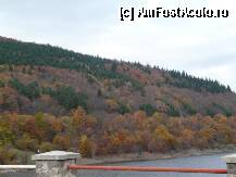 [P05] Lacul de acumulare Zetea padurea de foioase ruginita dar si citiva brazi printre ei » foto by dannek
 - 
<span class="allrVoted glyphicon glyphicon-heart hidden" id="av88699"></span>
<a class="m-l-10 hidden" id="sv88699" onclick="voting_Foto_DelVot(,88699,22695)" role="button">șterge vot <span class="glyphicon glyphicon-remove"></span></a>
<a id="v988699" class=" c-red"  onclick="voting_Foto_SetVot(88699)" role="button"><span class="glyphicon glyphicon-heart-empty"></span> <b>LIKE</b> = Votează poza</a> <img class="hidden"  id="f88699W9" src="/imagini/loader.gif" border="0" /><span class="AjErrMes hidden" id="e88699ErM"></span>
