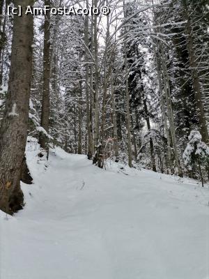 [P02] Prin pădure » foto by Marius 72
 - 
<span class="allrVoted glyphicon glyphicon-heart hidden" id="av1275730"></span>
<a class="m-l-10 hidden" id="sv1275730" onclick="voting_Foto_DelVot(,1275730,22695)" role="button">șterge vot <span class="glyphicon glyphicon-remove"></span></a>
<a id="v91275730" class=" c-red"  onclick="voting_Foto_SetVot(1275730)" role="button"><span class="glyphicon glyphicon-heart-empty"></span> <b>LIKE</b> = Votează poza</a> <img class="hidden"  id="f1275730W9" src="/imagini/loader.gif" border="0" /><span class="AjErrMes hidden" id="e1275730ErM"></span>