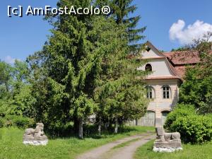 [P03] Parcul Dendrologic GurhgiuCastelul Racoczi-Bornemisa » foto by Dana2008
 - 
<span class="allrVoted glyphicon glyphicon-heart hidden" id="av1071987"></span>
<a class="m-l-10 hidden" id="sv1071987" onclick="voting_Foto_DelVot(,1071987,22705)" role="button">șterge vot <span class="glyphicon glyphicon-remove"></span></a>
<a id="v91071987" class=" c-red"  onclick="voting_Foto_SetVot(1071987)" role="button"><span class="glyphicon glyphicon-heart-empty"></span> <b>LIKE</b> = Votează poza</a> <img class="hidden"  id="f1071987W9" src="/imagini/loader.gif" border="0" /><span class="AjErrMes hidden" id="e1071987ErM"></span>