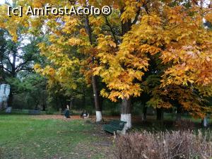 [P05] Toamna s-a pogorat si-n parcul dendrologic » foto by dorgo
 - 
<span class="allrVoted glyphicon glyphicon-heart hidden" id="av1250772"></span>
<a class="m-l-10 hidden" id="sv1250772" onclick="voting_Foto_DelVot(,1250772,22705)" role="button">șterge vot <span class="glyphicon glyphicon-remove"></span></a>
<a id="v91250772" class=" c-red"  onclick="voting_Foto_SetVot(1250772)" role="button"><span class="glyphicon glyphicon-heart-empty"></span> <b>LIKE</b> = Votează poza</a> <img class="hidden"  id="f1250772W9" src="/imagini/loader.gif" border="0" /><span class="AjErrMes hidden" id="e1250772ErM"></span>