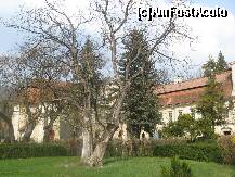 [P01] Castelul Bornemisza, adaposteste astazi Liceul Silvic din Gurghiu (foto, aprilie 2009) » foto by dorgo
 - 
<span class="allrVoted glyphicon glyphicon-heart hidden" id="av270940"></span>
<a class="m-l-10 hidden" id="sv270940" onclick="voting_Foto_DelVot(,270940,22705)" role="button">șterge vot <span class="glyphicon glyphicon-remove"></span></a>
<a id="v9270940" class=" c-red"  onclick="voting_Foto_SetVot(270940)" role="button"><span class="glyphicon glyphicon-heart-empty"></span> <b>LIKE</b> = Votează poza</a> <img class="hidden"  id="f270940W9" src="/imagini/loader.gif" border="0" /><span class="AjErrMes hidden" id="e270940ErM"></span>
