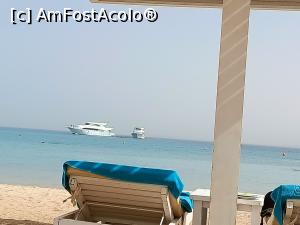 [P22] Pe plaja..șezlong » foto by dawnsash
 - 
<span class="allrVoted glyphicon glyphicon-heart hidden" id="av1295143"></span>
<a class="m-l-10 hidden" id="sv1295143" onclick="voting_Foto_DelVot(,1295143,22753)" role="button">șterge vot <span class="glyphicon glyphicon-remove"></span></a>
<a id="v91295143" class=" c-red"  onclick="voting_Foto_SetVot(1295143)" role="button"><span class="glyphicon glyphicon-heart-empty"></span> <b>LIKE</b> = Votează poza</a> <img class="hidden"  id="f1295143W9" src="/imagini/loader.gif" border="0" /><span class="AjErrMes hidden" id="e1295143ErM"></span>