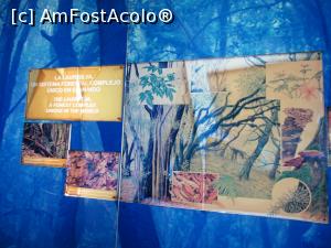 [P22] Centrul Juego de Bolas, arbori Laurasilva » foto by Michi
 - 
<span class="allrVoted glyphicon glyphicon-heart hidden" id="av913309"></span>
<a class="m-l-10 hidden" id="sv913309" onclick="voting_Foto_DelVot(,913309,22792)" role="button">șterge vot <span class="glyphicon glyphicon-remove"></span></a>
<a id="v9913309" class=" c-red"  onclick="voting_Foto_SetVot(913309)" role="button"><span class="glyphicon glyphicon-heart-empty"></span> <b>LIKE</b> = Votează poza</a> <img class="hidden"  id="f913309W9" src="/imagini/loader.gif" border="0" /><span class="AjErrMes hidden" id="e913309ErM"></span>