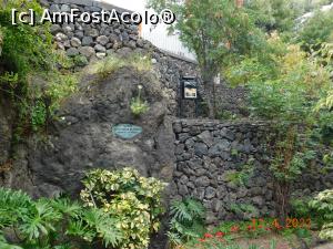 [P47] Din părculeţul Puerta de Tierra » foto by irinad
 - 
<span class="allrVoted glyphicon glyphicon-heart hidden" id="av1349187"></span>
<a class="m-l-10 hidden" id="sv1349187" onclick="voting_Foto_DelVot(,1349187,22792)" role="button">șterge vot <span class="glyphicon glyphicon-remove"></span></a>
<a id="v91349187" class=" c-red"  onclick="voting_Foto_SetVot(1349187)" role="button"><span class="glyphicon glyphicon-heart-empty"></span> <b>LIKE</b> = Votează poza</a> <img class="hidden"  id="f1349187W9" src="/imagini/loader.gif" border="0" /><span class="AjErrMes hidden" id="e1349187ErM"></span>