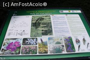 [P12] Prăpăstiile Zărneștilor, Panou Informativ, Flora din Chei și Piatra Craiului, dar și câteva păsărele » foto by mprofeanu
 - 
<span class="allrVoted glyphicon glyphicon-heart hidden" id="av1381854"></span>
<a class="m-l-10 hidden" id="sv1381854" onclick="voting_Foto_DelVot(,1381854,22842)" role="button">șterge vot <span class="glyphicon glyphicon-remove"></span></a>
<a id="v91381854" class=" c-red"  onclick="voting_Foto_SetVot(1381854)" role="button"><span class="glyphicon glyphicon-heart-empty"></span> <b>LIKE</b> = Votează poza</a> <img class="hidden"  id="f1381854W9" src="/imagini/loader.gif" border="0" /><span class="AjErrMes hidden" id="e1381854ErM"></span>