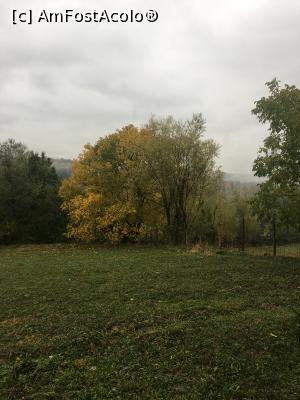 [P01] Chiar dacă ploua, tot frumos era peisajul!  » foto by Yersinia Pestis
 - 
<span class="allrVoted glyphicon glyphicon-heart hidden" id="av912309"></span>
<a class="m-l-10 hidden" id="sv912309" onclick="voting_Foto_DelVot(,912309,22874)" role="button">șterge vot <span class="glyphicon glyphicon-remove"></span></a>
<a id="v9912309" class=" c-red"  onclick="voting_Foto_SetVot(912309)" role="button"><span class="glyphicon glyphicon-heart-empty"></span> <b>LIKE</b> = Votează poza</a> <img class="hidden"  id="f912309W9" src="/imagini/loader.gif" border="0" /><span class="AjErrMes hidden" id="e912309ErM"></span>