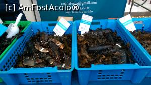 [P25] Scoici si fructe de mare » foto by arcrom
 - 
<span class="allrVoted glyphicon glyphicon-heart hidden" id="av913169"></span>
<a class="m-l-10 hidden" id="sv913169" onclick="voting_Foto_DelVot(,913169,22887)" role="button">șterge vot <span class="glyphicon glyphicon-remove"></span></a>
<a id="v9913169" class=" c-red"  onclick="voting_Foto_SetVot(913169)" role="button"><span class="glyphicon glyphicon-heart-empty"></span> <b>LIKE</b> = Votează poza</a> <img class="hidden"  id="f913169W9" src="/imagini/loader.gif" border="0" /><span class="AjErrMes hidden" id="e913169ErM"></span>