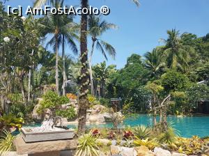 [P02] piscina » foto by roxyrox
 - 
<span class="allrVoted glyphicon glyphicon-heart hidden" id="av964416"></span>
<a class="m-l-10 hidden" id="sv964416" onclick="voting_Foto_DelVot(,964416,22936)" role="button">șterge vot <span class="glyphicon glyphicon-remove"></span></a>
<a id="v9964416" class=" c-red"  onclick="voting_Foto_SetVot(964416)" role="button"><span class="glyphicon glyphicon-heart-empty"></span> <b>LIKE</b> = Votează poza</a> <img class="hidden"  id="f964416W9" src="/imagini/loader.gif" border="0" /><span class="AjErrMes hidden" id="e964416ErM"></span>