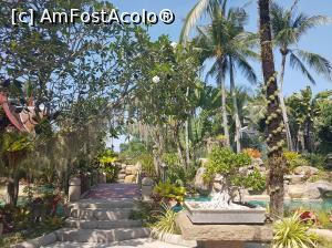 [P08] Gradina » foto by roxyrox
 - 
<span class="allrVoted glyphicon glyphicon-heart hidden" id="av964422"></span>
<a class="m-l-10 hidden" id="sv964422" onclick="voting_Foto_DelVot(,964422,22936)" role="button">șterge vot <span class="glyphicon glyphicon-remove"></span></a>
<a id="v9964422" class=" c-red"  onclick="voting_Foto_SetVot(964422)" role="button"><span class="glyphicon glyphicon-heart-empty"></span> <b>LIKE</b> = Votează poza</a> <img class="hidden"  id="f964422W9" src="/imagini/loader.gif" border="0" /><span class="AjErrMes hidden" id="e964422ErM"></span>