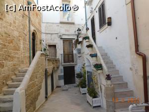 [P29] Versuri pe trepte în romanticul Polignano a Mare » foto by irinad
 - 
<span class="allrVoted glyphicon glyphicon-heart hidden" id="av1329658"></span>
<a class="m-l-10 hidden" id="sv1329658" onclick="voting_Foto_DelVot(,1329658,22941)" role="button">șterge vot <span class="glyphicon glyphicon-remove"></span></a>
<a id="v91329658" class=" c-red"  onclick="voting_Foto_SetVot(1329658)" role="button"><span class="glyphicon glyphicon-heart-empty"></span> <b>LIKE</b> = Votează poza</a> <img class="hidden"  id="f1329658W9" src="/imagini/loader.gif" border="0" /><span class="AjErrMes hidden" id="e1329658ErM"></span>