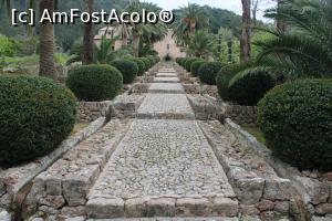 [P03] Mallorca, Jardins d'Alfàbia, Scara impresionantă de piatră mărginită de palmieri ce duce la Fântână, se află în partea stângă a Curții Conacului, pe aici se intră pentru a vizita totul, grădini, livezi, casă... » foto by mprofeanu
 - 
<span class="allrVoted glyphicon glyphicon-heart hidden" id="av1321169"></span>
<a class="m-l-10 hidden" id="sv1321169" onclick="voting_Foto_DelVot(,1321169,23018)" role="button">șterge vot <span class="glyphicon glyphicon-remove"></span></a>
<a id="v91321169" class=" c-red"  onclick="voting_Foto_SetVot(1321169)" role="button"><span class="glyphicon glyphicon-heart-empty"></span> <b>LIKE</b> = Votează poza</a> <img class="hidden"  id="f1321169W9" src="/imagini/loader.gif" border="0" /><span class="AjErrMes hidden" id="e1321169ErM"></span>