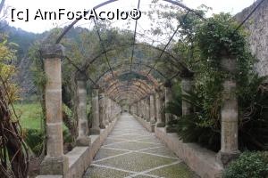 [P09] Mallorca, Jardins d'Alfàbia, Pergola cu  72 Coloane și 24 Hidre ce aruncă jeturi de apă, cel mai emblematic element al Grădinii » foto by mprofeanu
 - 
<span class="allrVoted glyphicon glyphicon-heart hidden" id="av1321175"></span>
<a class="m-l-10 hidden" id="sv1321175" onclick="voting_Foto_DelVot(,1321175,23018)" role="button">șterge vot <span class="glyphicon glyphicon-remove"></span></a>
<a id="v91321175" class=" c-red"  onclick="voting_Foto_SetVot(1321175)" role="button"><span class="glyphicon glyphicon-heart-empty"></span> <b>LIKE</b> = Votează poza</a> <img class="hidden"  id="f1321175W9" src="/imagini/loader.gif" border="0" /><span class="AjErrMes hidden" id="e1321175ErM"></span>