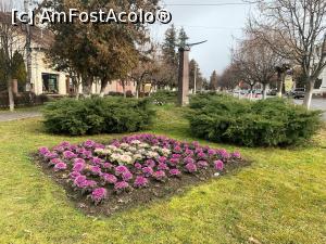 [P05] Parcul Libertății din Cristuru Secuiesc » foto by AZE
 - 
<span class="allrVoted glyphicon glyphicon-heart hidden" id="av1352953"></span>
<a class="m-l-10 hidden" id="sv1352953" onclick="voting_Foto_DelVot(,1352953,23038)" role="button">șterge vot <span class="glyphicon glyphicon-remove"></span></a>
<a id="v91352953" class=" c-red"  onclick="voting_Foto_SetVot(1352953)" role="button"><span class="glyphicon glyphicon-heart-empty"></span> <b>LIKE</b> = Votează poza</a> <img class="hidden"  id="f1352953W9" src="/imagini/loader.gif" border="0" /><span class="AjErrMes hidden" id="e1352953ErM"></span>