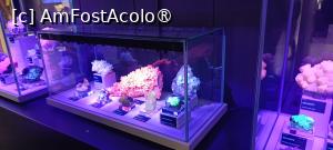 [P08] Sala de mineralogie - minerale fluorescente. » foto by tata123 🔱
 - 
<span class="allrVoted glyphicon glyphicon-heart hidden" id="av1422432"></span>
<a class="m-l-10 hidden" id="sv1422432" onclick="voting_Foto_DelVot(,1422432,23064)" role="button">șterge vot <span class="glyphicon glyphicon-remove"></span></a>
<a id="v91422432" class=" c-red"  onclick="voting_Foto_SetVot(1422432)" role="button"><span class="glyphicon glyphicon-heart-empty"></span> <b>LIKE</b> = Votează poza</a> <img class="hidden"  id="f1422432W9" src="/imagini/loader.gif" border="0" /><span class="AjErrMes hidden" id="e1422432ErM"></span>