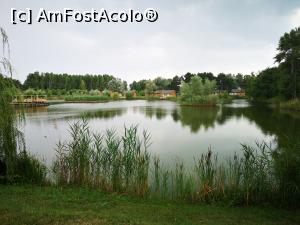 [P13] Căsuțe pe lac » foto by crismis
 - 
<span class="allrVoted glyphicon glyphicon-heart hidden" id="av1173312"></span>
<a class="m-l-10 hidden" id="sv1173312" onclick="voting_Foto_DelVot(,1173312,23090)" role="button">șterge vot <span class="glyphicon glyphicon-remove"></span></a>
<a id="v91173312" class=" c-red"  onclick="voting_Foto_SetVot(1173312)" role="button"><span class="glyphicon glyphicon-heart-empty"></span> <b>LIKE</b> = Votează poza</a> <img class="hidden"  id="f1173312W9" src="/imagini/loader.gif" border="0" /><span class="AjErrMes hidden" id="e1173312ErM"></span>