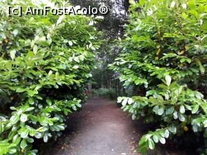 [P13] Intram in padure spre Castelul Balvenie.  » foto by Aurici
 - 
<span class="allrVoted glyphicon glyphicon-heart hidden" id="av924877"></span>
<a class="m-l-10 hidden" id="sv924877" onclick="voting_Foto_DelVot(,924877,23094)" role="button">șterge vot <span class="glyphicon glyphicon-remove"></span></a>
<a id="v9924877" class=" c-red"  onclick="voting_Foto_SetVot(924877)" role="button"><span class="glyphicon glyphicon-heart-empty"></span> <b>LIKE</b> = Votează poza</a> <img class="hidden"  id="f924877W9" src="/imagini/loader.gif" border="0" /><span class="AjErrMes hidden" id="e924877ErM"></span>
