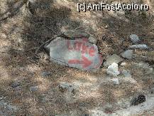[P22] Spre lac...cu curaj. » foto by maryka
 - 
<span class="allrVoted glyphicon glyphicon-heart hidden" id="av230522"></span>
<a class="m-l-10 hidden" id="sv230522" onclick="voting_Foto_DelVot(,230522,23097)" role="button">șterge vot <span class="glyphicon glyphicon-remove"></span></a>
<a id="v9230522" class=" c-red"  onclick="voting_Foto_SetVot(230522)" role="button"><span class="glyphicon glyphicon-heart-empty"></span> <b>LIKE</b> = Votează poza</a> <img class="hidden"  id="f230522W9" src="/imagini/loader.gif" border="0" /><span class="AjErrMes hidden" id="e230522ErM"></span>