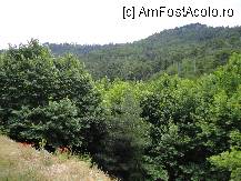 [P27] Si aici la munte cresc maci. » foto by maryka
 - 
<span class="allrVoted glyphicon glyphicon-heart hidden" id="av230549"></span>
<a class="m-l-10 hidden" id="sv230549" onclick="voting_Foto_DelVot(,230549,23097)" role="button">șterge vot <span class="glyphicon glyphicon-remove"></span></a>
<a id="v9230549" class=" c-red"  onclick="voting_Foto_SetVot(230549)" role="button"><span class="glyphicon glyphicon-heart-empty"></span> <b>LIKE</b> = Votează poza</a> <img class="hidden"  id="f230549W9" src="/imagini/loader.gif" border="0" /><span class="AjErrMes hidden" id="e230549ErM"></span>