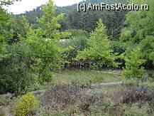 [P29] Si am ajuns la lac. » foto by maryka
 - 
<span class="allrVoted glyphicon glyphicon-heart hidden" id="av230559"></span>
<a class="m-l-10 hidden" id="sv230559" onclick="voting_Foto_DelVot(,230559,23097)" role="button">șterge vot <span class="glyphicon glyphicon-remove"></span></a>
<a id="v9230559" class=" c-red"  onclick="voting_Foto_SetVot(230559)" role="button"><span class="glyphicon glyphicon-heart-empty"></span> <b>LIKE</b> = Votează poza</a> <img class="hidden"  id="f230559W9" src="/imagini/loader.gif" border="0" /><span class="AjErrMes hidden" id="e230559ErM"></span>