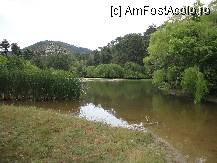 [P31] LACUL... » foto by maryka
 - 
<span class="allrVoted glyphicon glyphicon-heart hidden" id="av230569"></span>
<a class="m-l-10 hidden" id="sv230569" onclick="voting_Foto_DelVot(,230569,23097)" role="button">șterge vot <span class="glyphicon glyphicon-remove"></span></a>
<a id="v9230569" class=" c-red"  onclick="voting_Foto_SetVot(230569)" role="button"><span class="glyphicon glyphicon-heart-empty"></span> <b>LIKE</b> = Votează poza</a> <img class="hidden"  id="f230569W9" src="/imagini/loader.gif" border="0" /><span class="AjErrMes hidden" id="e230569ErM"></span>
