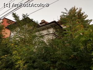 [P29] Dincolo de vegetația bogată, Casa Armeanu, veche de un secol.  » foto by maryka
 - 
<span class="allrVoted glyphicon glyphicon-heart hidden" id="av1019516"></span>
<a class="m-l-10 hidden" id="sv1019516" onclick="voting_Foto_DelVot(,1019516,23117)" role="button">șterge vot <span class="glyphicon glyphicon-remove"></span></a>
<a id="v91019516" class=" c-red"  onclick="voting_Foto_SetVot(1019516)" role="button"><span class="glyphicon glyphicon-heart-empty"></span> <b>LIKE</b> = Votează poza</a> <img class="hidden"  id="f1019516W9" src="/imagini/loader.gif" border="0" /><span class="AjErrMes hidden" id="e1019516ErM"></span>