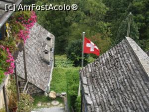 [P52] Corippo » foto by Mika
 - 
<span class="allrVoted glyphicon glyphicon-heart hidden" id="av925381"></span>
<a class="m-l-10 hidden" id="sv925381" onclick="voting_Foto_DelVot(,925381,23118)" role="button">șterge vot <span class="glyphicon glyphicon-remove"></span></a>
<a id="v9925381" class=" c-red"  onclick="voting_Foto_SetVot(925381)" role="button"><span class="glyphicon glyphicon-heart-empty"></span> <b>LIKE</b> = Votează poza</a> <img class="hidden"  id="f925381W9" src="/imagini/loader.gif" border="0" /><span class="AjErrMes hidden" id="e925381ErM"></span>