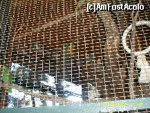 [P32] Manastirea Faneromeni-niste papagali din mica gradina zoo » foto by raduu1972
 - 
<span class="allrVoted glyphicon glyphicon-heart hidden" id="av151748"></span>
<a class="m-l-10 hidden" id="sv151748" onclick="voting_Foto_DelVot(,151748,23140)" role="button">șterge vot <span class="glyphicon glyphicon-remove"></span></a>
<a id="v9151748" class=" c-red"  onclick="voting_Foto_SetVot(151748)" role="button"><span class="glyphicon glyphicon-heart-empty"></span> <b>LIKE</b> = Votează poza</a> <img class="hidden"  id="f151748W9" src="/imagini/loader.gif" border="0" /><span class="AjErrMes hidden" id="e151748ErM"></span>