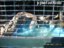 [P05] Manastirea Faneromeni-o lebada alba » foto by raduu1972
 - 
<span class="allrVoted glyphicon glyphicon-heart hidden" id="av151695"></span>
<a class="m-l-10 hidden" id="sv151695" onclick="voting_Foto_DelVot(,151695,23140)" role="button">șterge vot <span class="glyphicon glyphicon-remove"></span></a>
<a id="v9151695" class=" c-red"  onclick="voting_Foto_SetVot(151695)" role="button"><span class="glyphicon glyphicon-heart-empty"></span> <b>LIKE</b> = Votează poza</a> <img class="hidden"  id="f151695W9" src="/imagini/loader.gif" border="0" /><span class="AjErrMes hidden" id="e151695ErM"></span>