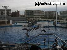 [P11] In timpul savurosului spectacol de la Delfinariu » foto by vini
 - 
<span class="allrVoted glyphicon glyphicon-heart hidden" id="av69128"></span>
<a class="m-l-10 hidden" id="sv69128" onclick="voting_Foto_DelVot(,69128,23166)" role="button">șterge vot <span class="glyphicon glyphicon-remove"></span></a>
<a id="v969128" class=" c-red"  onclick="voting_Foto_SetVot(69128)" role="button"><span class="glyphicon glyphicon-heart-empty"></span> <b>LIKE</b> = Votează poza</a> <img class="hidden"  id="f69128W9" src="/imagini/loader.gif" border="0" /><span class="AjErrMes hidden" id="e69128ErM"></span>