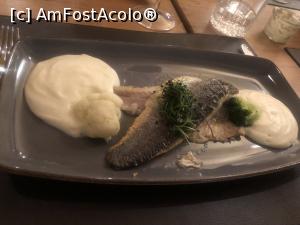 [P41] Restaurant Malerwinkel - felul principal-peste » foto by mishu
 - 
<span class="allrVoted glyphicon glyphicon-heart hidden" id="av1210080"></span>
<a class="m-l-10 hidden" id="sv1210080" onclick="voting_Foto_DelVot(,1210080,23171)" role="button">șterge vot <span class="glyphicon glyphicon-remove"></span></a>
<a id="v91210080" class=" c-red"  onclick="voting_Foto_SetVot(1210080)" role="button"><span class="glyphicon glyphicon-heart-empty"></span> <b>LIKE</b> = Votează poza</a> <img class="hidden"  id="f1210080W9" src="/imagini/loader.gif" border="0" /><span class="AjErrMes hidden" id="e1210080ErM"></span>