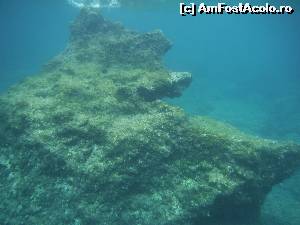 [P36] Paleokastritsa Agia Triada beach » foto by ebirsan
 - 
<span class="allrVoted glyphicon glyphicon-heart hidden" id="av563671"></span>
<a class="m-l-10 hidden" id="sv563671" onclick="voting_Foto_DelVot(,563671,23175)" role="button">șterge vot <span class="glyphicon glyphicon-remove"></span></a>
<a id="v9563671" class=" c-red"  onclick="voting_Foto_SetVot(563671)" role="button"><span class="glyphicon glyphicon-heart-empty"></span> <b>LIKE</b> = Votează poza</a> <img class="hidden"  id="f563671W9" src="/imagini/loader.gif" border="0" /><span class="AjErrMes hidden" id="e563671ErM"></span>