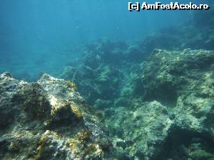 [P05] Paleokastritsa Agios Pedro & Ampelaki beaches » foto by ebirsan
 - 
<span class="allrVoted glyphicon glyphicon-heart hidden" id="av563639"></span>
<a class="m-l-10 hidden" id="sv563639" onclick="voting_Foto_DelVot(,563639,23175)" role="button">șterge vot <span class="glyphicon glyphicon-remove"></span></a>
<a id="v9563639" class=" c-red"  onclick="voting_Foto_SetVot(563639)" role="button"><span class="glyphicon glyphicon-heart-empty"></span> <b>LIKE</b> = Votează poza</a> <img class="hidden"  id="f563639W9" src="/imagini/loader.gif" border="0" /><span class="AjErrMes hidden" id="e563639ErM"></span>