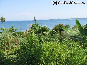 [P98] Croaziera spre Laguna Albastra- ultima oprire- taverna Panorama » foto by luciaoradea
 - 
<span class="allrVoted glyphicon glyphicon-heart hidden" id="av643590"></span>
<a class="m-l-10 hidden" id="sv643590" onclick="voting_Foto_DelVot(,643590,23178)" role="button">șterge vot <span class="glyphicon glyphicon-remove"></span></a>
<a id="v9643590" class=" c-red"  onclick="voting_Foto_SetVot(643590)" role="button"><span class="glyphicon glyphicon-heart-empty"></span> <b>LIKE</b> = Votează poza</a> <img class="hidden"  id="f643590W9" src="/imagini/loader.gif" border="0" /><span class="AjErrMes hidden" id="e643590ErM"></span>