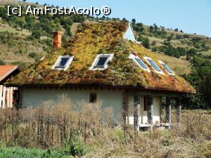 [P38] Casă acoperită cu mușchi, în Brădești, între Odorhei și MIercurea Ciuc » foto by crismis
 - 
<span class="allrVoted glyphicon glyphicon-heart hidden" id="av1192710"></span>
<a class="m-l-10 hidden" id="sv1192710" onclick="voting_Foto_DelVot(,1192710,23187)" role="button">șterge vot <span class="glyphicon glyphicon-remove"></span></a>
<a id="v91192710" class=" c-red"  onclick="voting_Foto_SetVot(1192710)" role="button"><span class="glyphicon glyphicon-heart-empty"></span> <b>LIKE</b> = Votează poza</a> <img class="hidden"  id="f1192710W9" src="/imagini/loader.gif" border="0" /><span class="AjErrMes hidden" id="e1192710ErM"></span>