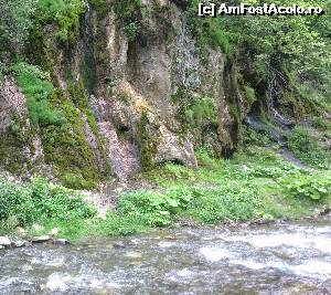 [P03] Cascada La Chisatoare, Moeciu » foto by ked
 - 
<span class="allrVoted glyphicon glyphicon-heart hidden" id="av524997"></span>
<a class="m-l-10 hidden" id="sv524997" onclick="voting_Foto_DelVot(,524997,23210)" role="button">șterge vot <span class="glyphicon glyphicon-remove"></span></a>
<a id="v9524997" class=" c-red"  onclick="voting_Foto_SetVot(524997)" role="button"><span class="glyphicon glyphicon-heart-empty"></span> <b>LIKE</b> = Votează poza</a> <img class="hidden"  id="f524997W9" src="/imagini/loader.gif" border="0" /><span class="AjErrMes hidden" id="e524997ErM"></span>