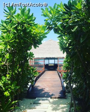 [P05] Dhigufaru Island Resort » foto by Adeenah
 - 
<span class="allrVoted glyphicon glyphicon-heart hidden" id="av929190"></span>
<a class="m-l-10 hidden" id="sv929190" onclick="voting_Foto_DelVot(,929190,23220)" role="button">șterge vot <span class="glyphicon glyphicon-remove"></span></a>
<a id="v9929190" class=" c-red"  onclick="voting_Foto_SetVot(929190)" role="button"><span class="glyphicon glyphicon-heart-empty"></span> <b>LIKE</b> = Votează poza</a> <img class="hidden"  id="f929190W9" src="/imagini/loader.gif" border="0" /><span class="AjErrMes hidden" id="e929190ErM"></span>