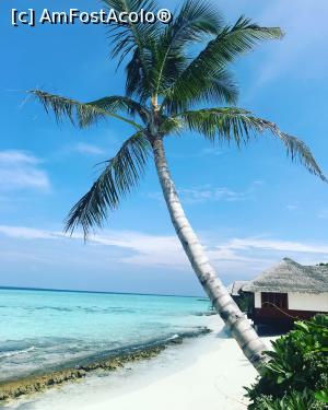 [P07] Dhigufaru Island Resort » foto by Adeenah
 - 
<span class="allrVoted glyphicon glyphicon-heart hidden" id="av929192"></span>
<a class="m-l-10 hidden" id="sv929192" onclick="voting_Foto_DelVot(,929192,23220)" role="button">șterge vot <span class="glyphicon glyphicon-remove"></span></a>
<a id="v9929192" class=" c-red"  onclick="voting_Foto_SetVot(929192)" role="button"><span class="glyphicon glyphicon-heart-empty"></span> <b>LIKE</b> = Votează poza</a> <img class="hidden"  id="f929192W9" src="/imagini/loader.gif" border="0" /><span class="AjErrMes hidden" id="e929192ErM"></span>