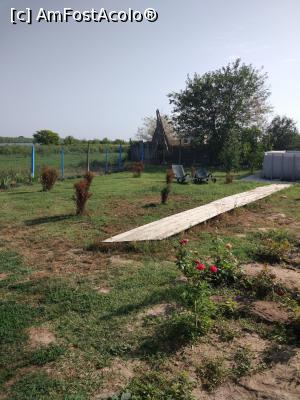 [P19]  -- <small>// FĂRĂ DESCRIERE</small> » foto by corinamaria
 - 
<span class="allrVoted glyphicon glyphicon-heart hidden" id="av934030"></span>
<a class="m-l-10 hidden" id="sv934030" onclick="voting_Foto_DelVot(,934030,23264)" role="button">șterge vot <span class="glyphicon glyphicon-remove"></span></a>
<a id="v9934030" class=" c-red"  onclick="voting_Foto_SetVot(934030)" role="button"><span class="glyphicon glyphicon-heart-empty"></span> <b>LIKE</b> = Votează poza</a> <img class="hidden"  id="f934030W9" src="/imagini/loader.gif" border="0" /><span class="AjErrMes hidden" id="e934030ErM"></span>