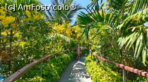 [P01] Salutări din Thailanda, dragii mei! » foto by elenaadina
 - 
<span class="allrVoted glyphicon glyphicon-heart hidden" id="av1526050"></span>
<a class="m-l-10 hidden" id="sv1526050" onclick="voting_Foto_DelVot(,1526050,23312)" role="button">șterge vot <span class="glyphicon glyphicon-remove"></span></a>
<a id="v91526050" class=" c-red"  onclick="voting_Foto_SetVot(1526050)" role="button"><span class="glyphicon glyphicon-heart-empty"></span> <b>LIKE</b> = Votează poza</a> <img class="hidden"  id="f1526050W9" src="/imagini/loader.gif" border="0" /><span class="AjErrMes hidden" id="e1526050ErM"></span>