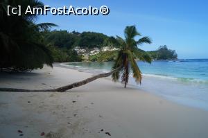 [P07] si aceasta tot pe Insula Mahe - nici urma de turisti » foto by Pami*
 - 
<span class="allrVoted glyphicon glyphicon-heart hidden" id="av978370"></span>
<a class="m-l-10 hidden" id="sv978370" onclick="voting_Foto_DelVot(,978370,23347)" role="button">șterge vot <span class="glyphicon glyphicon-remove"></span></a>
<a id="v9978370" class=" c-red"  onclick="voting_Foto_SetVot(978370)" role="button"><span class="glyphicon glyphicon-heart-empty"></span> <b>LIKE</b> = Votează poza</a> <img class="hidden"  id="f978370W9" src="/imagini/loader.gif" border="0" /><span class="AjErrMes hidden" id="e978370ErM"></span>